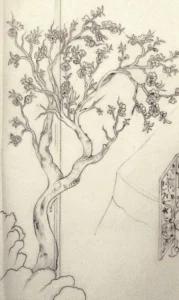 Çizim Örneği-11