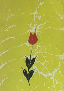 Lale Ebru