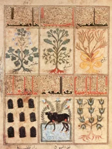 Pseudo Gallen'in Kitab Al Diryaq Adlı Panzehir Kitabından Parşömen Üzerine Çizdiği Bir Örnek-1