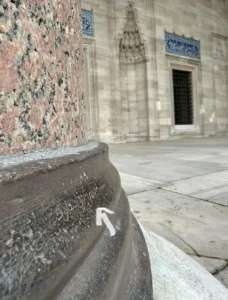Süleymaniye Camii - İlmiyledur Şerefli İnsanun